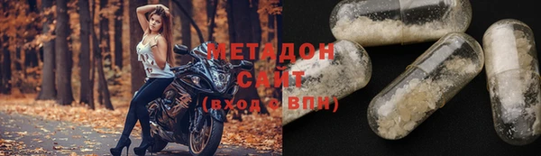 индика Алексин