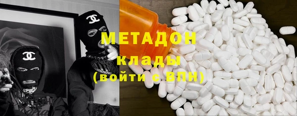 индика Алексин