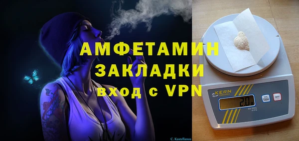 индика Алексин