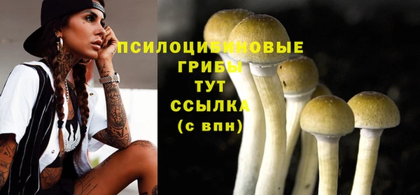 круглые Алзамай