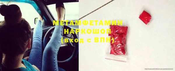 индика Алексин