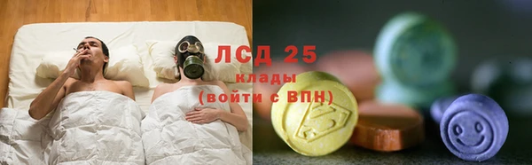 индика Алексин