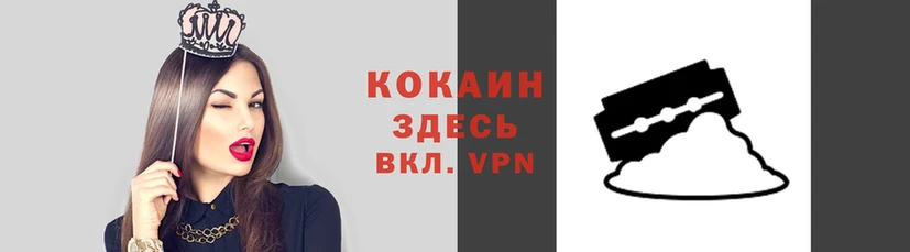 индика Алексин