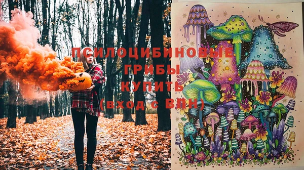 индика Алексин