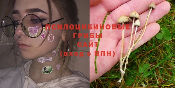 индика Алексин