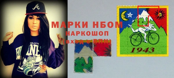 индика Алексин