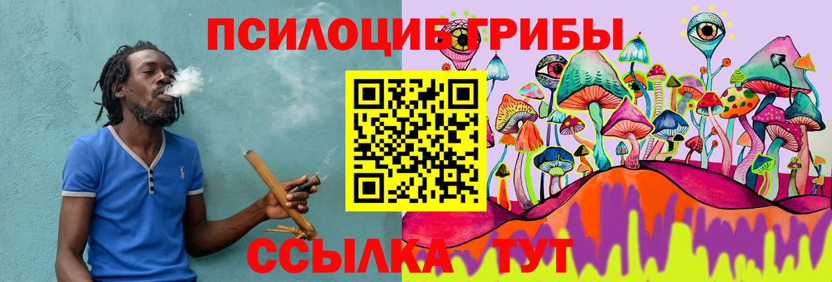 Псилоцибиновые грибы GOLDEN TEACHER  Галлюциногенные грибы MAGIC MUSHROOMS  Гурьевск  Вход с VPN 