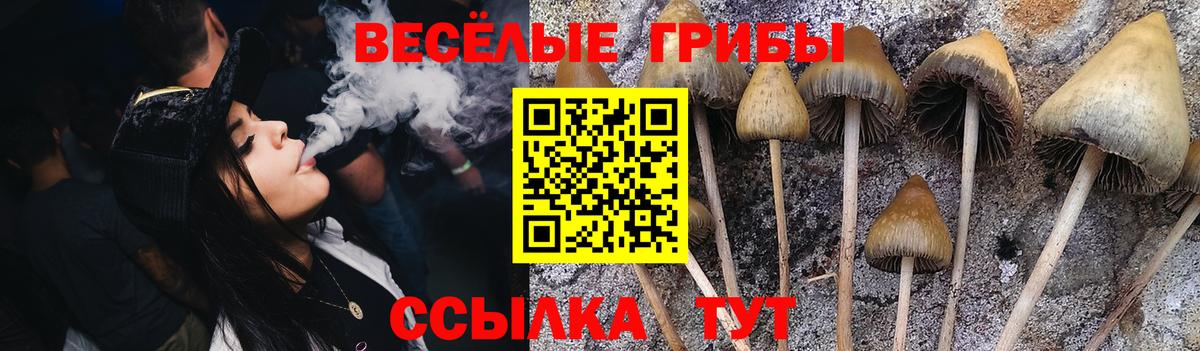 Галлюциногенные грибы ЛСД Гурьевск